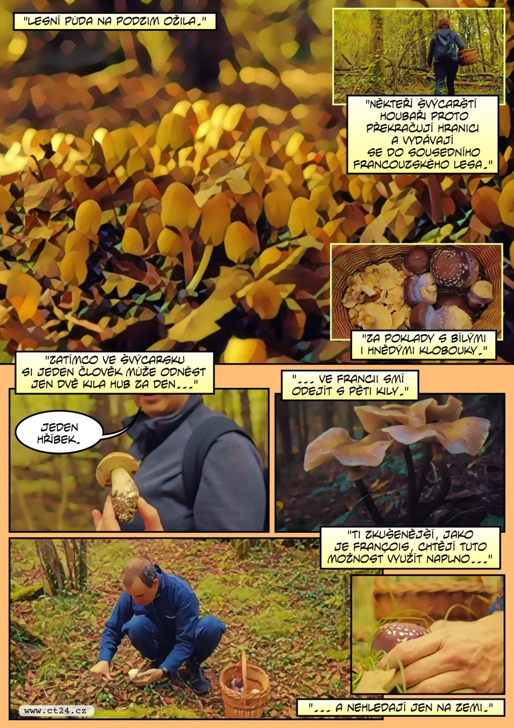 Plné košíky hub se mohou vymstít