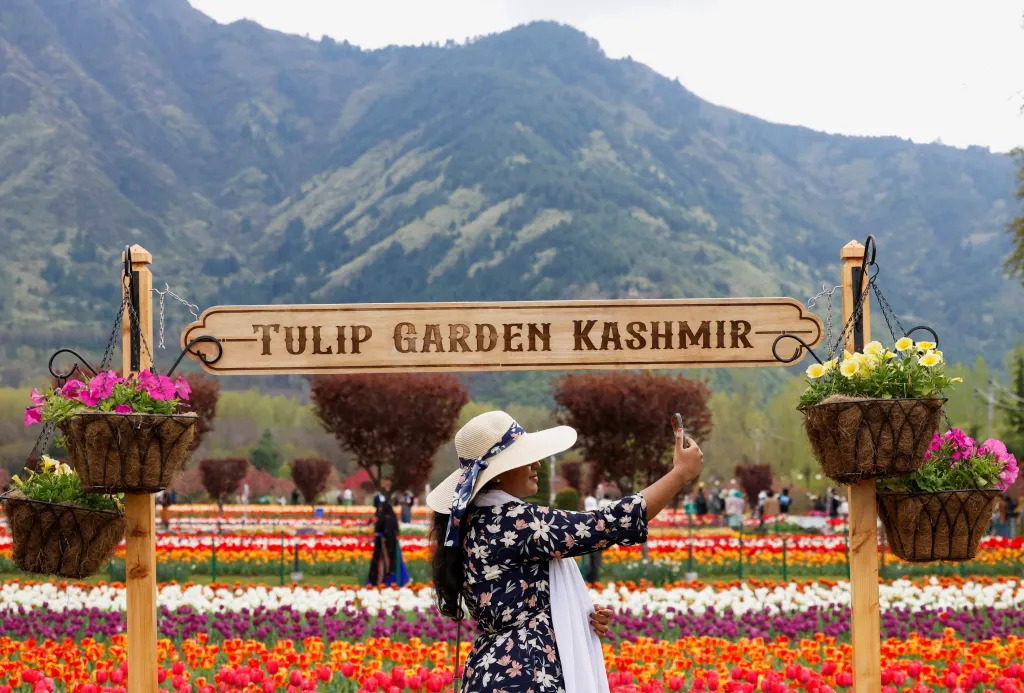 Tulipánová zahrada v Kašmíru (31. 3. 2026)