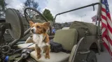 Plzeň slavila svobodu a městem se valila přehlídka Convoy of Liberty