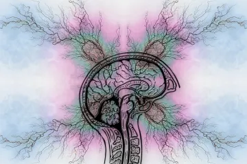 Porucha ADHD možná přinášela evoluční výhodu. Pomáhala prvním lovcům a sběračům, naznačuje studie