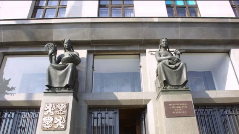 Reportáž Terezy Kručinské