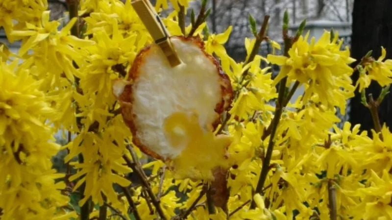 Jiří Kovanda / Moje oblíbená barva, 2008, Praha