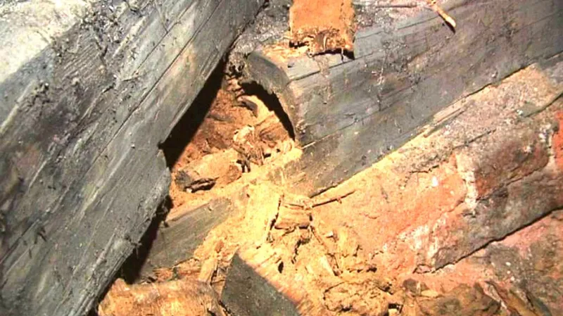 Střecha napadená dřevomorkou