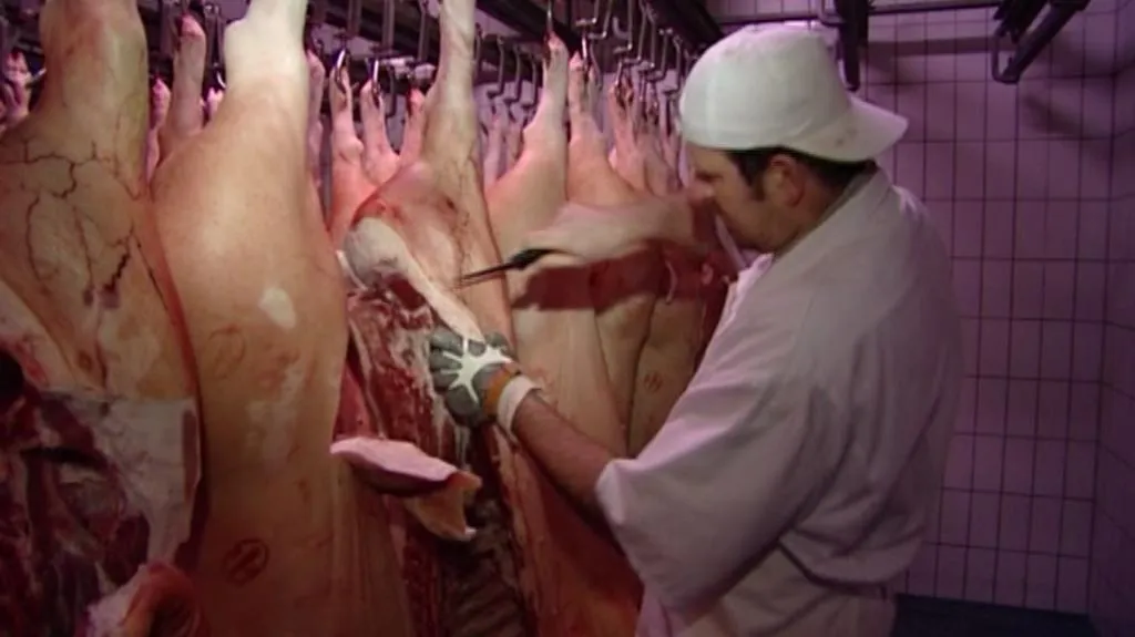 Miroslav Kalčík pracuje v SRN jako řezník