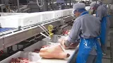 Zpracování masa