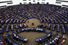 Volby do Evropského parlamentu jsou světový unikát se 400 miliony obyvatel