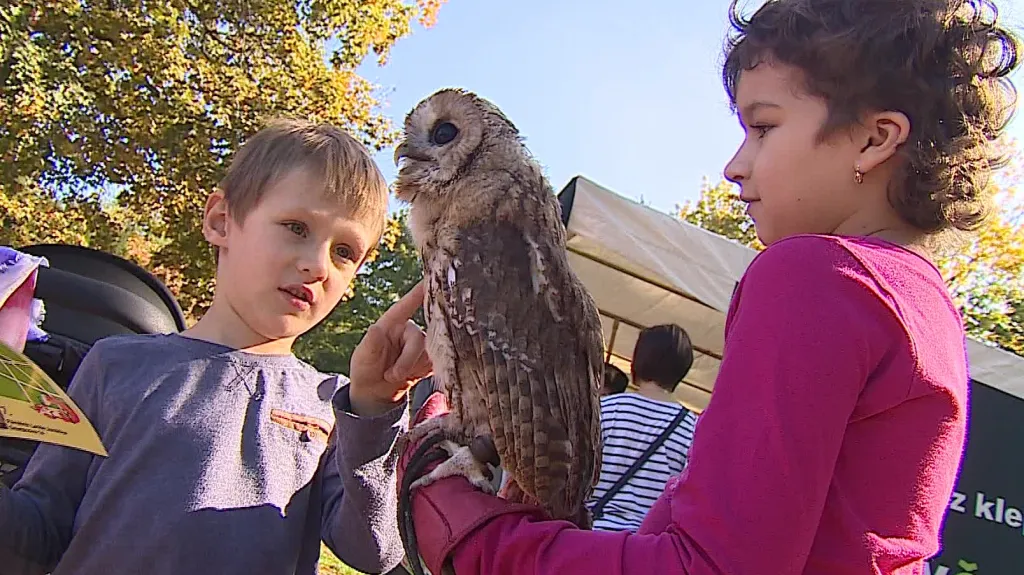 Děti poznávají přírodu