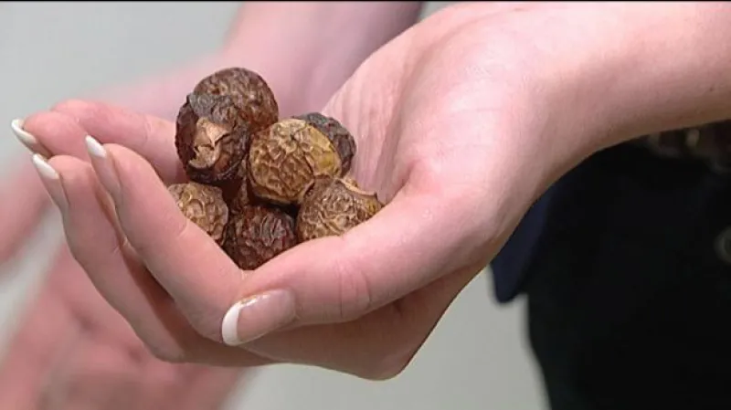 Reportáž Michaely Polákové