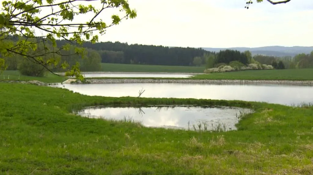 Rybník v Meziříčku