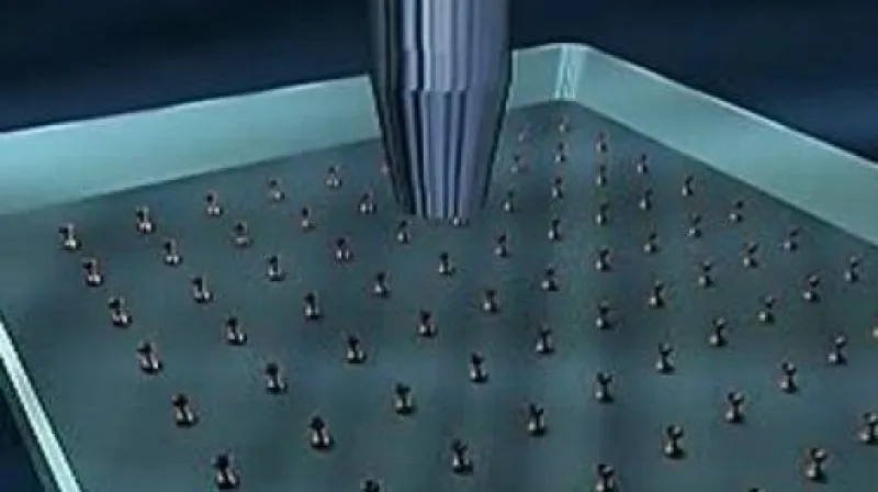 Reportáž Davida Miřejovského