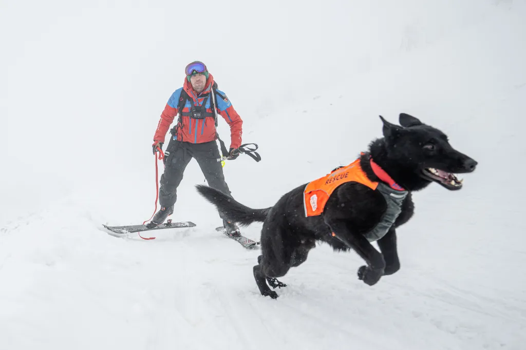 Záchranáři se psy nacvičují v Krkonoších záchranu z lavin