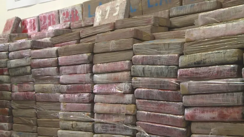 Zabavená zásilka drog