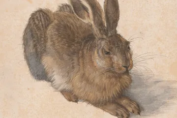 Kdo by rušil idylický klid, psal tisk ironicky o první výstavě Albertiny