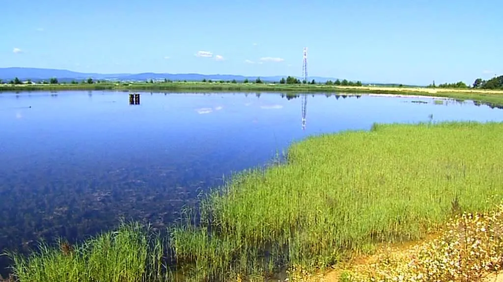Odkaliště ve Starých Hodějovicích