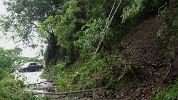 Popadané stromy na Jamajce