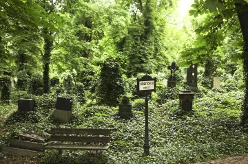 Smrt vykázaná ze sálu. Dnešní společnost před umíráním zavírá oči