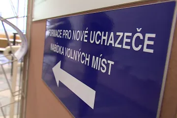 Dáte práci zdravotně znevýhodněnému? Stát nabízí kompenzaci až 5 tisíc