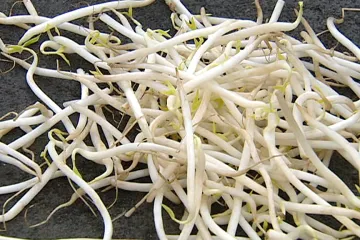 Testy výhonků zatím výskyt smrtící bakterie nepotvrdily