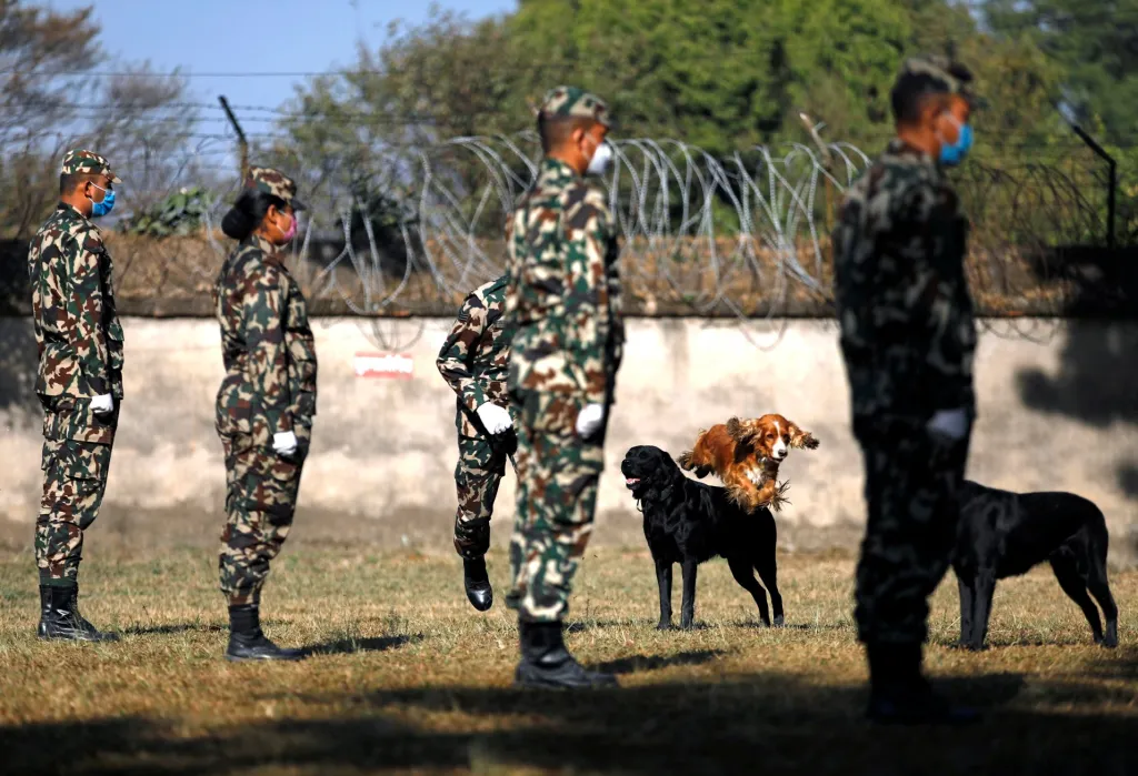 Přehlídka umění psů nepálské policie během hinduistického svátku Tihar v Bhaktapuru