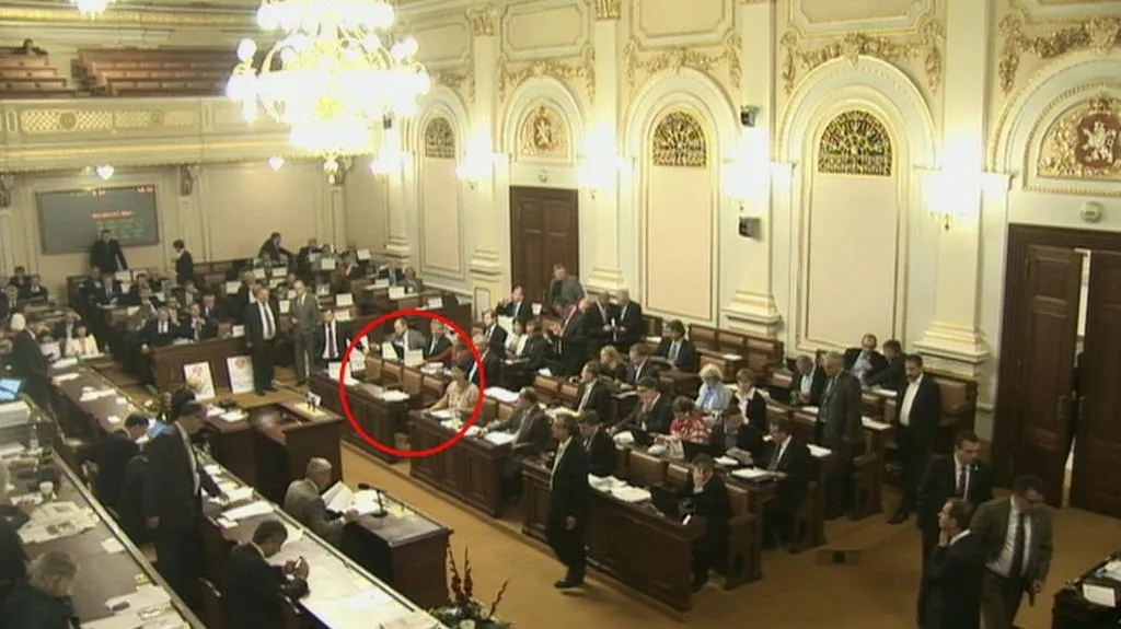 Jana Drastichová vytahuje hlasovací karty