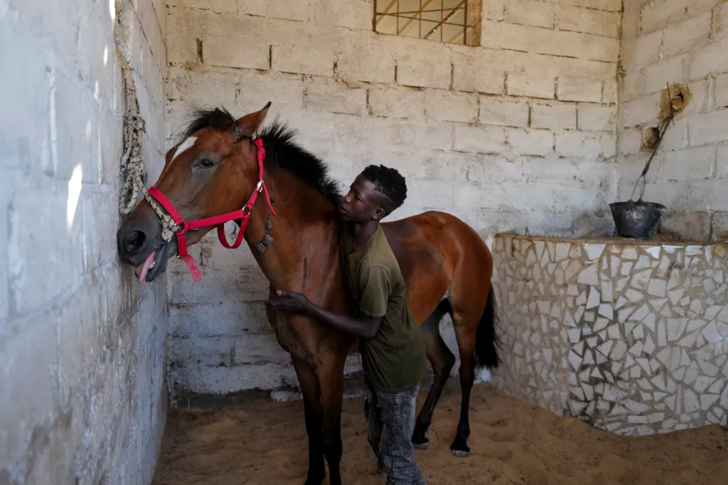 Fallou Diop se svým koněm, který se jmenuje Expert. Vzájemné pouto je důležité nejen při dostihu
