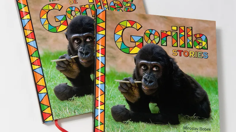 Cizojazyčné verze příběhů o Moje