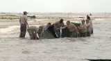 Vojáci vztyčují zábrany proti ropné skvrně