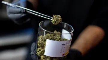 Marihuana