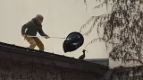 iReportér: Odchyt ibise v Holešovicích objektivem Richarda Balouse