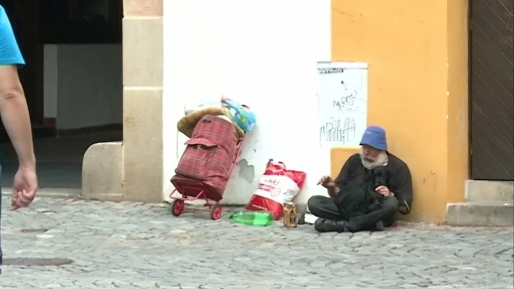 Činnost olomoucké charity