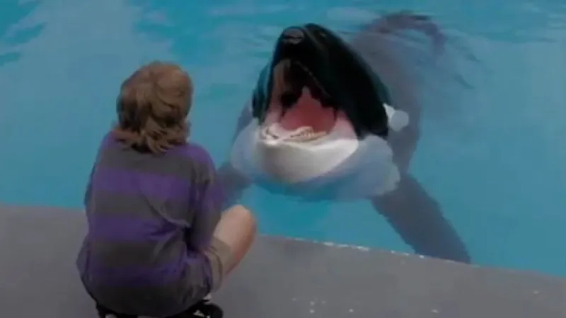 Film Zachraňte Willyho