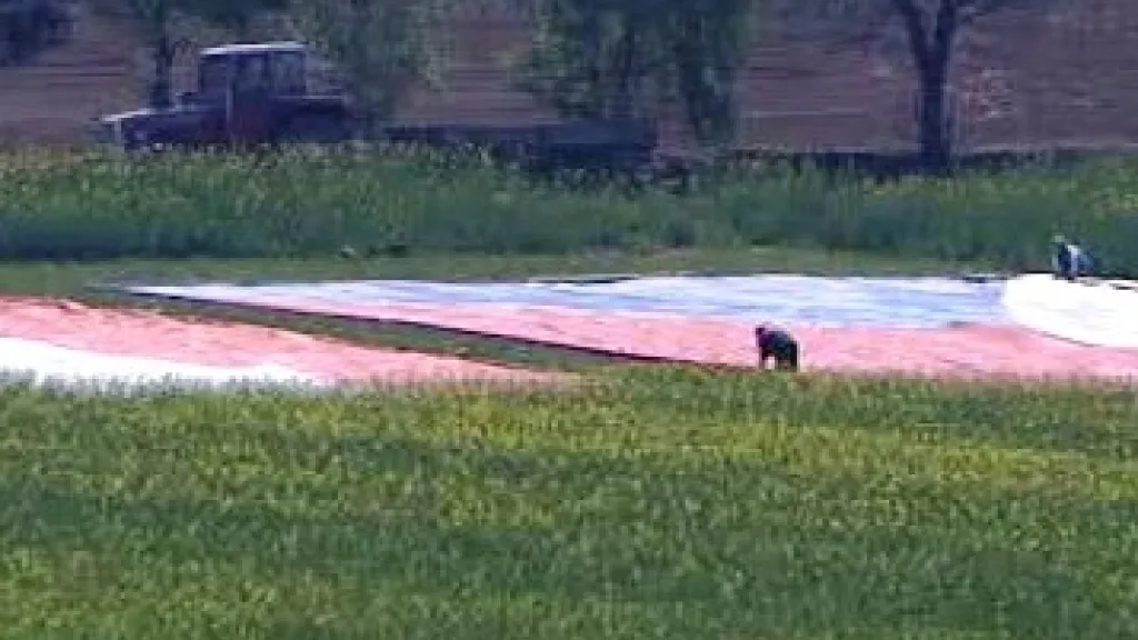 Dolnorakouská zemská výstava