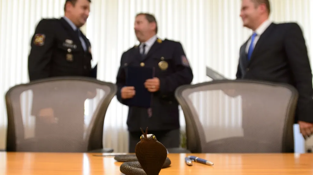 Setkání představitelů Kobry