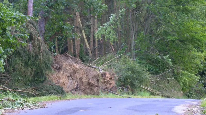 V Jaroměři mluví o historicky největších škodách na lesním majetku