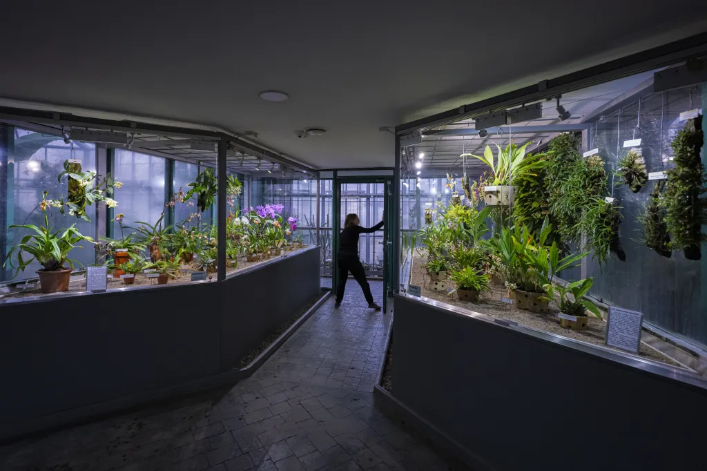 V liberecké botanické zahradě je devět skleníkových pavilonů z let 1995 až 2000. Postavené byly podle návrhu architekta Pavla Vaněčka a svým uspořádáním připomínají seskupení rostlinných buněk