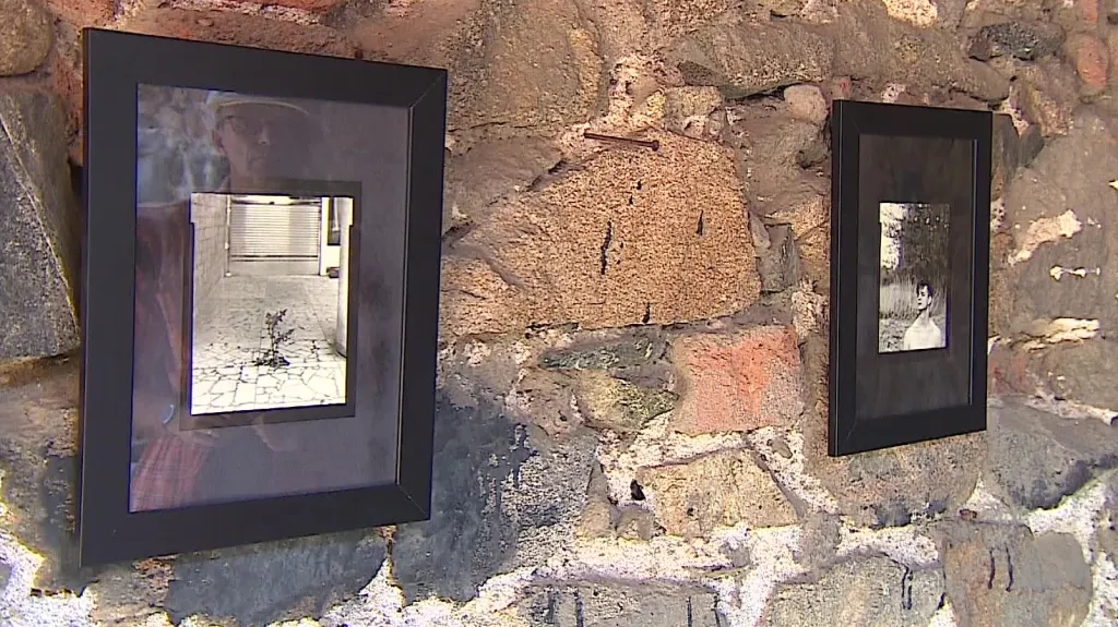 Výstava Zpřítomnění 2014 v klášteře Rosa Coeli
