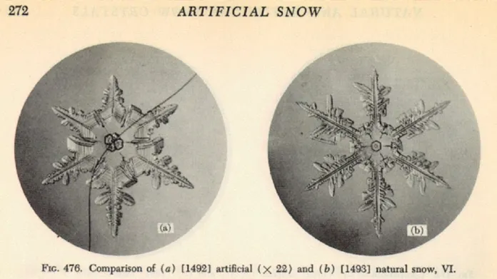 První obrázky sněhových vloček, které publikoval Ukičiro Nakaya v roce 1954. Vlevo je umělá sněhová vločka narůstající na králičím chlupu.