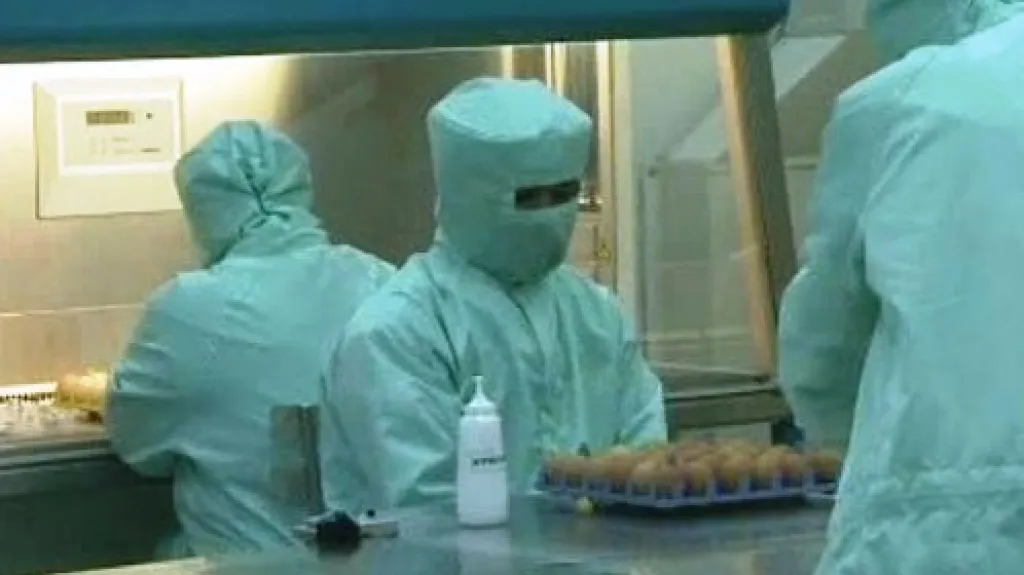 Laboratorní výzkum