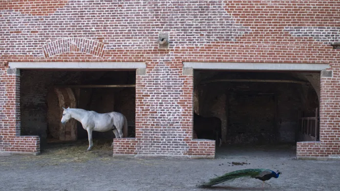 Koně ve stáji opravené části hradeb v umělecké kolonii Bastionu IV. v barokní pevnosti Josefov