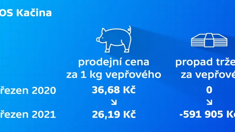 ZOS Kačina