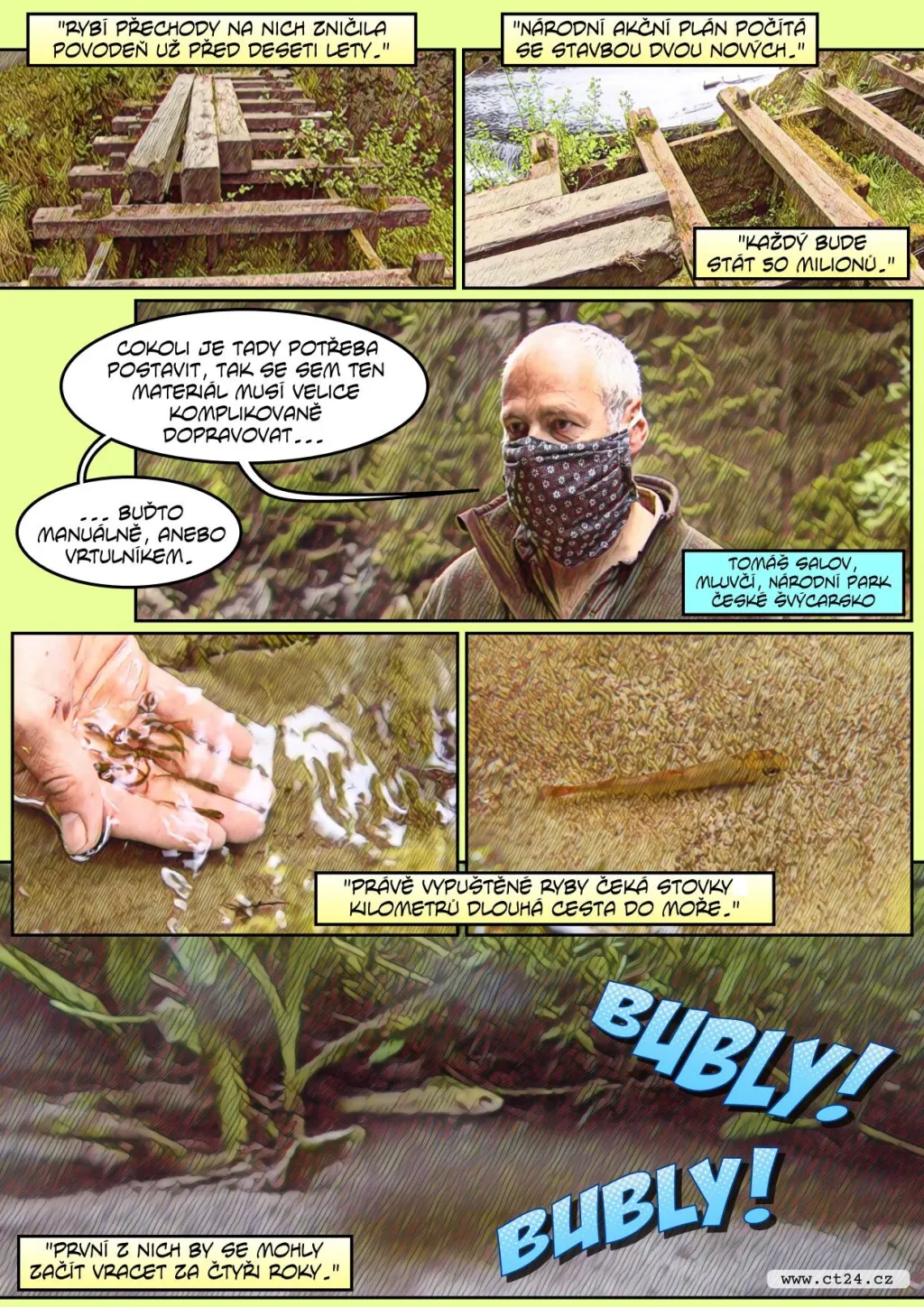 Nové přechody pro lososy