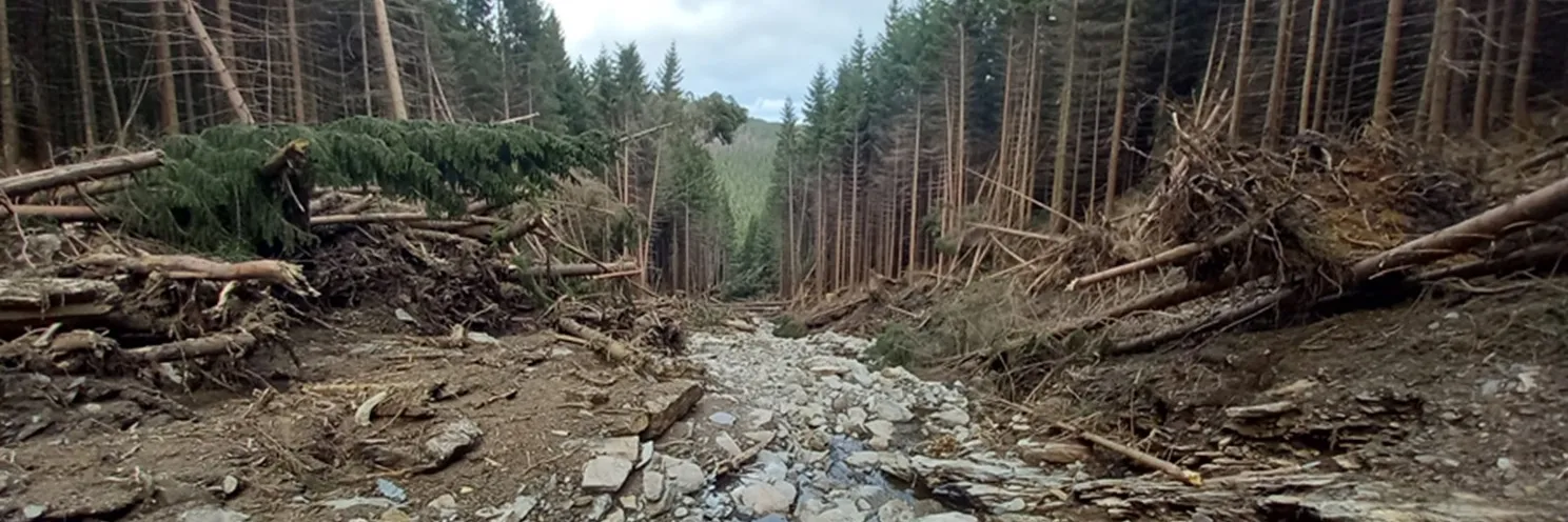 Velké bahnotoky a mury mohou vznikat i v Česku, varují výzkumníci