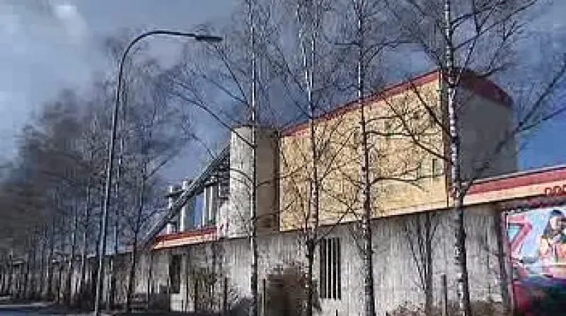 Elektrárna v rakouském Gmündu spaluje dřevní štěpky a vedle elektřiny produkuje i ekologické teplo.