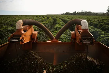 Trump zrušil čtyřicetiprocentní cla na dovoz potravin z Brazílie