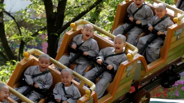 Malý chlapci, kteří se připravují na život buddhistických mnichů, zůstávají v chrámech dva týdny jako začínající duchovní. Nic jim ale nebrání, aby si užívali dětské radosti jako stejně staré děti kdekoliv jinde. Snímek vznikl v zábavním parku Everland v Yonginu v Jižní Koreji.