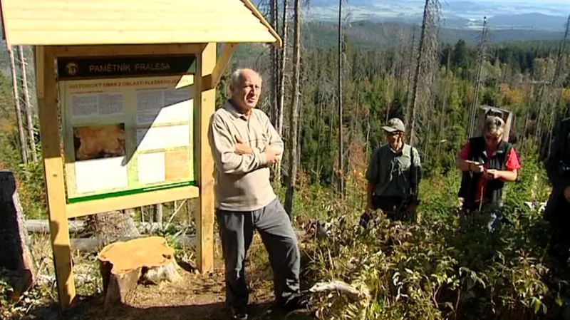 Ředitel parku Jan Stráský u pamětního pařezu