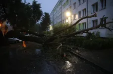 Bouřky v Evropě zabíjely. Dva lidé zahynuli pod padlými stromy v Polsku, v Rusku se utopila žena
