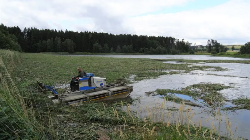 Sečení porostu u Pařezného rybníka na Žďársku skončilo tragédií