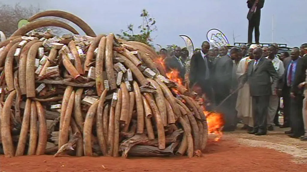 Keňský prezident Mwai Kibaki podpaluje hranici se slonovinou