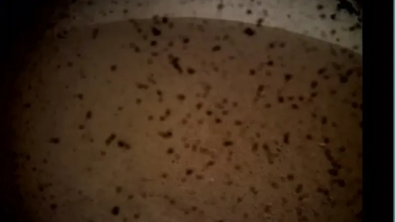 První snímek InSightu z Marsu